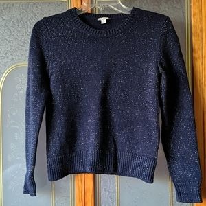 Women's Gap Shimmer Crew Neck Sweater